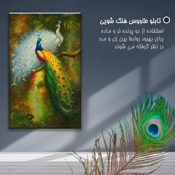 تابلو فنگشویی طاووس برای روابط عاطفی و عشق و علاقه و شهرت ابعاد 30 در 40