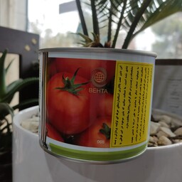 بذر گوجه فرنگی هیبرید سادین 95، محصولی از انزازادن هلند، بسته بندی 5000 عددی