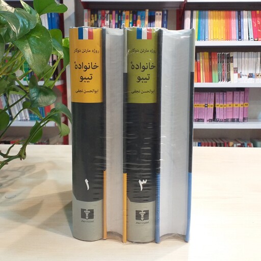 کتاب خانواده تیبو ( 4 جلدی) اثر روژه مارتین دوگار از نشر نیلوفر 