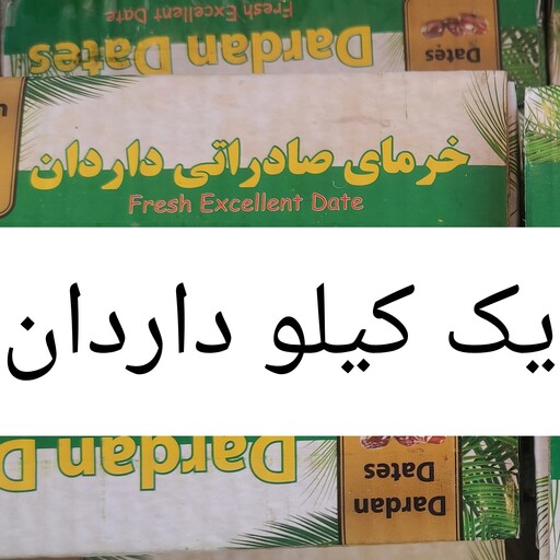 خرما کبکاب دانه درشت مجلسی