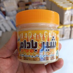 شیر بادام نیمه آماده ارگانیک 300 گرمی