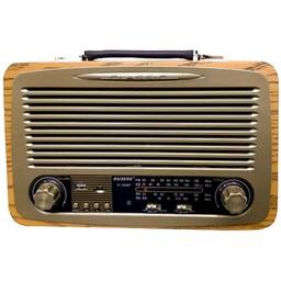 رادیو مدل RAISENG 3288 bt