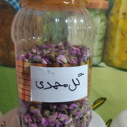 غنچه گل محمدی 