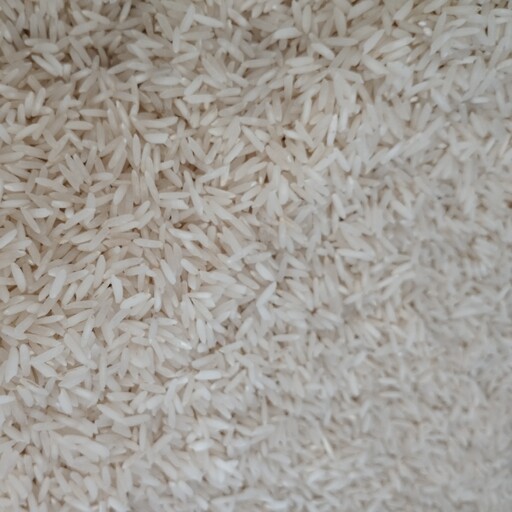 برنج فریدونکنار 