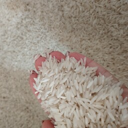 برنج گلچین طارم ، 10 کیلویی