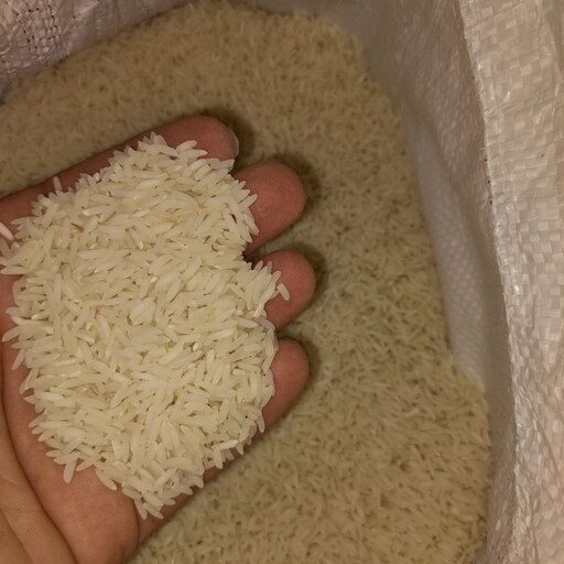 برنج طارم هاشمی(دو مرحله سورت شده)در بسته های 5 کیلویی مازندران بابل