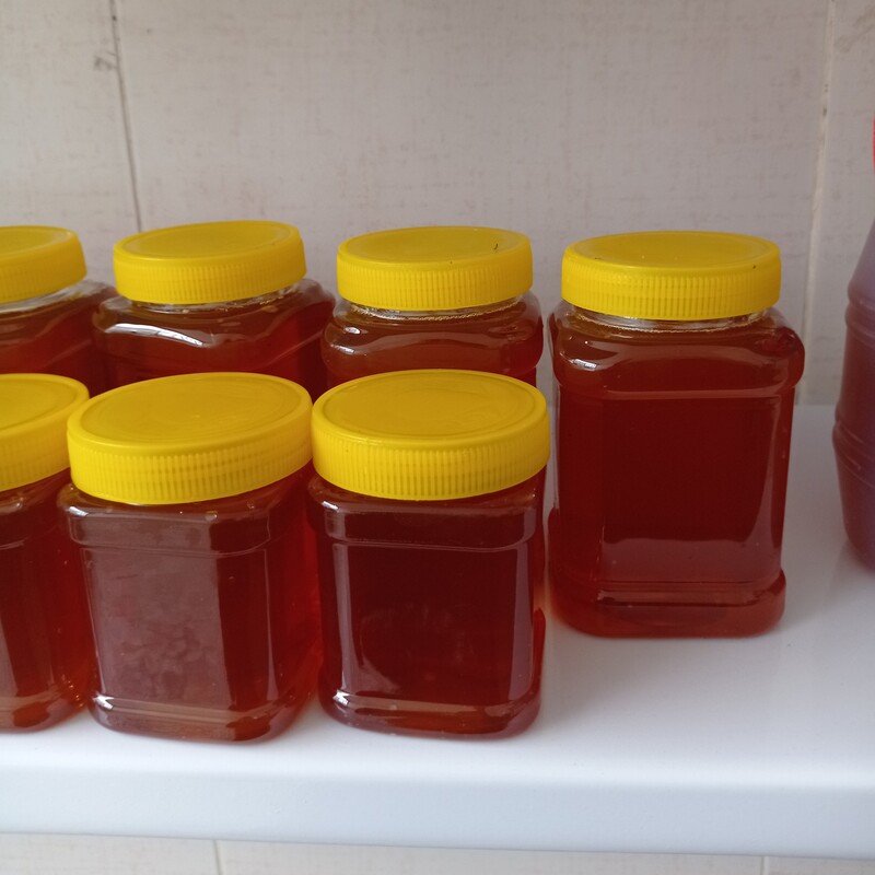 عسل گون 1 کیلوگرمی گرما ندیده و طبیعی (مستقیم از زنبوردار)