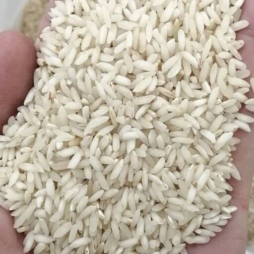 برنج عنبر بو گران نخرید مستقیم از کارخانه تا سفره ی شما عزیزان 10 کیلو ارسال رایگان 