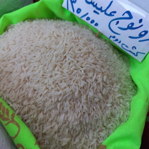برنج کشت دوم دونوج سلطنتی علیشاه باارسال رایگان(10کیلوگرم)
