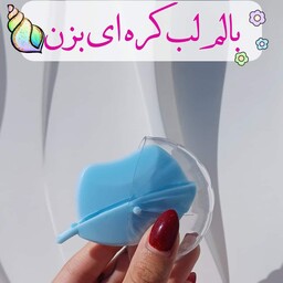 بالم لب کره ای حرارتی صدفی