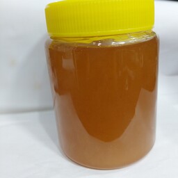 عسل چهل گیاه طبیعی نیشابوری650گرمی باکیفیت حتی افراد دیابتی با احتیاط مصرف شود 