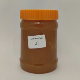 عسل دیابتی حاوی 25گرم ژل رویال ایرانی