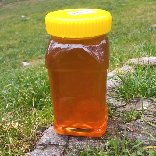 عسل  طبیعی و ارگانیک مرکبات (با ساکارز کمتر از دو)
