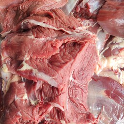 گوشت تازه شتر (هاشی) با طبع گرم بسیار خوشمزه و خوش پخت ، درمان بسیاری از بیماری ها