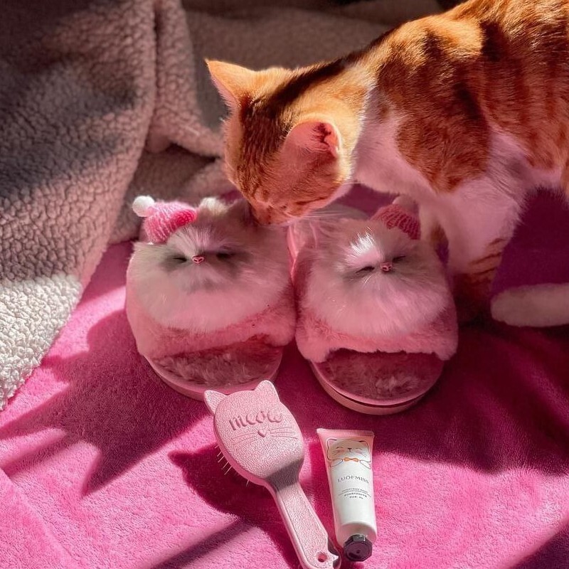دمپایی روفرشی  گربه کلاهدار زنانه