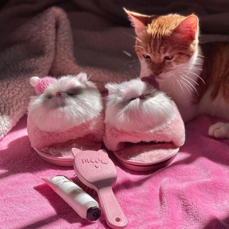 دمپایی روفرشی  گربه کلاهدار زنانه