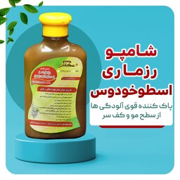 شامپو گیاهی رزماری اسطوخودوس ضد ریزش ضد خارش بهبود خشکی کف سر