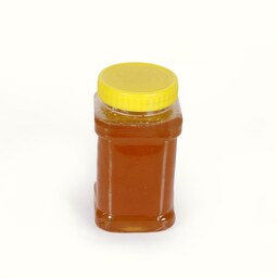 عسل طبیعی آویشن کوهی ساکاروز زیر دو بسته بندی یک کیلوگرمی شالیزار صادق