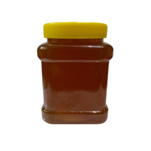 عسل درمانی زول ساکاروز زیر یک بسته بندی  500 گرمی شالیزار صادق