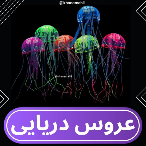 دکور آکواریوم عروس دریایی کوچک S (فلورسنت)