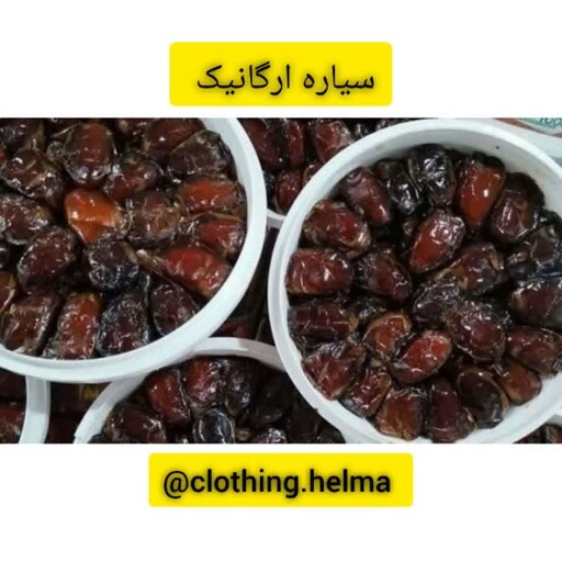 خرما کبکاب درجه یک