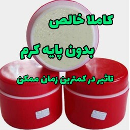 کرم شب عمده 6 عددی بدون پایه کرم