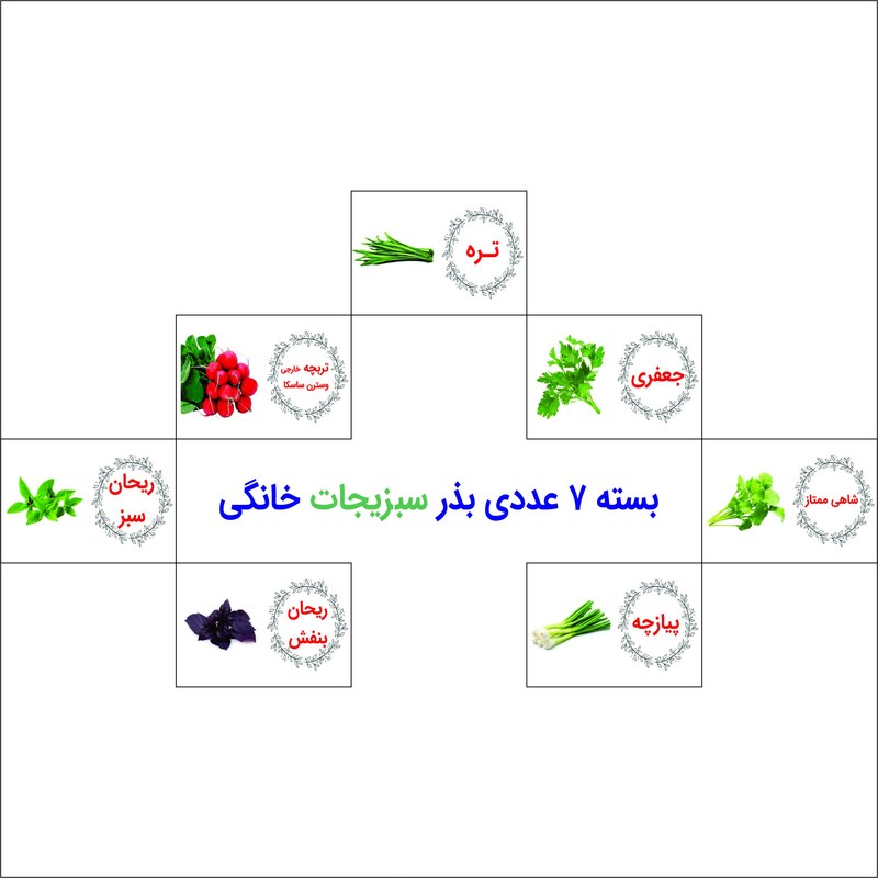 پکیج 7 عددی بذرهای سبزی خوردن زر بذر  ایرانیان(تره-جعفری-شاهی-ریحان سبز-ریحان بنفش-پیازچه-تربچه)