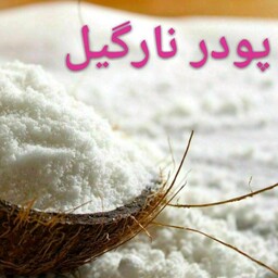 پودر نارگیل چرب 200 گرمی 