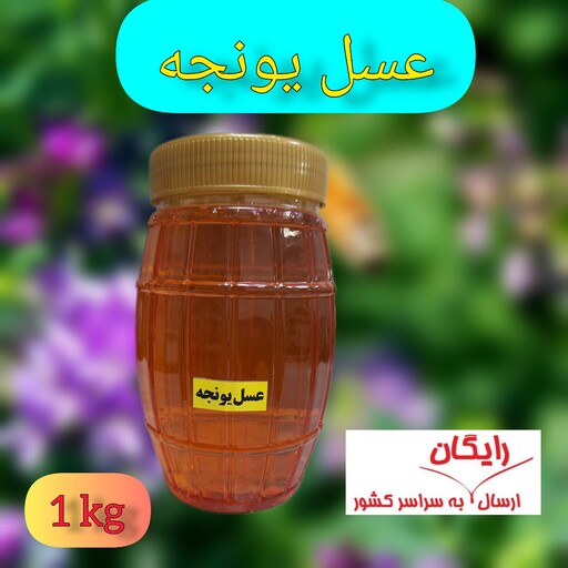 عسل طبیعی  یونجه(وزن یک کیلو گرم)خرید مستقیم  از زنبوردار 