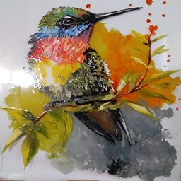 قاب ویترای طرح پرنده رنگی ، استفاده از رنگ ویترای، نقاشی روی شیشه قابل سفارش در طرح های دلخواه