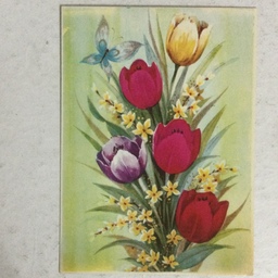 دو عدد کارت پستال قدیمی (15در10)(ازهر تصویر 1 عدد) کد 29