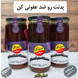 عسل درمانی پونه کوهی ویژه ساکارز 1درصد 3 کیلویی سبلان(مستقیم از زنبوردار)ارسال رایگان