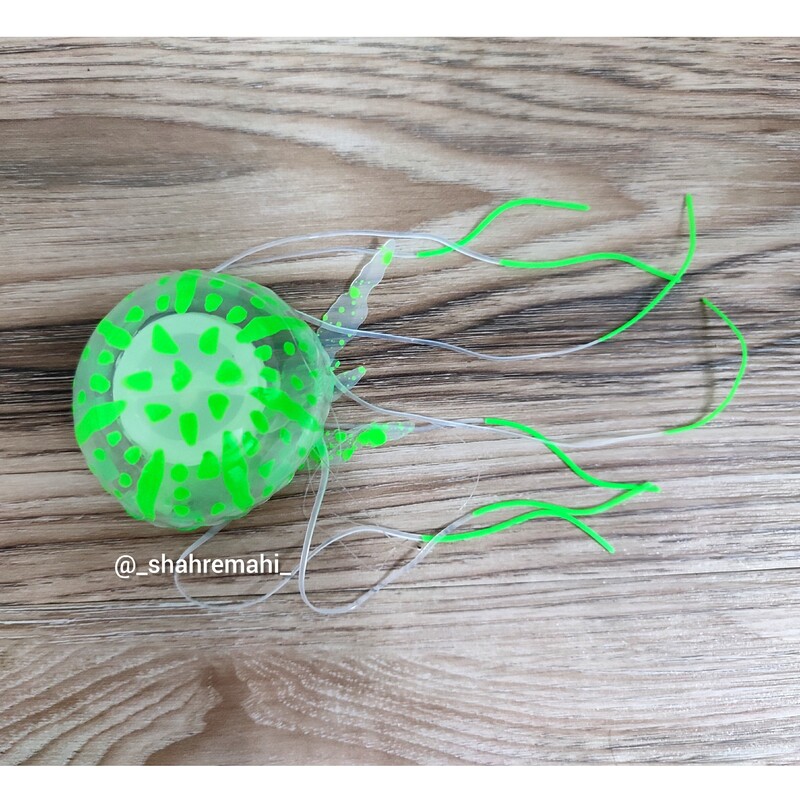 دکوری آکواریوم عروس دریایی رنگ سبز سایز کوچک شبرنگ با پایه چسبانک دار جهت اتصال محکم محصول وارداتی و شیک