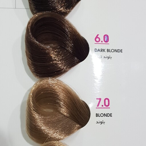 رنگ موی بس تناژ رنگ بلوند تیره حجم 100 میلی لیتر سری Natural مدل Dark Blonde شماره 6.0