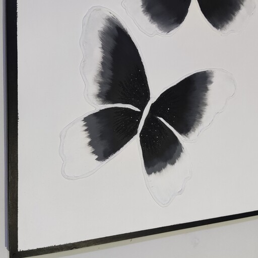 تابلو برجسته ی پروانه،کار شده روی تخته 3 میل،رنگ اکرلیک سایز 50 در 70رنگ قاب به دلخواه مشتری