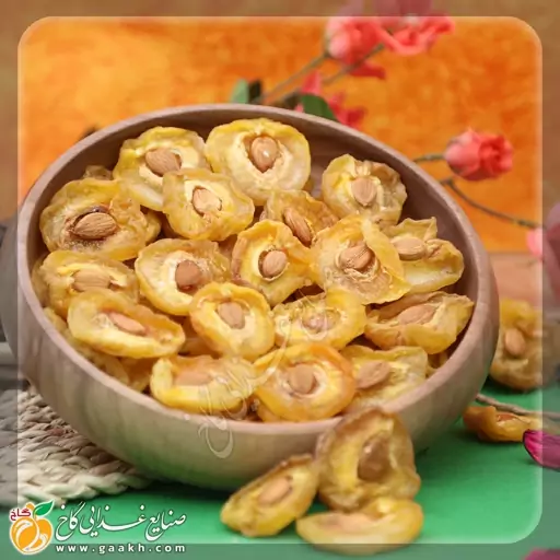 برگه زردآلو مغزدار  گاخ 1000 گرم