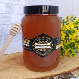 عسل طبیعی گون - ارگانیک - 1600 گرم