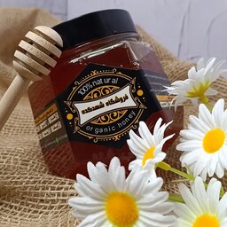 عسل طبیعی چهل گیاه  (500 گرم) پلمپ شده