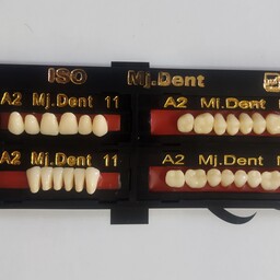دندان مصنوعی MjDent دندانپزشکی A2 B11