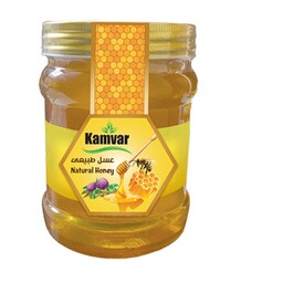 عسل طبیعی بدون شکر  رژیمی-دیابتی کامور 1 کیلوگرمی 
