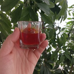زعفران 4 گرمی ممتاز خراسان،امسالی،خوش عطر و طعم،مستقیم از تولید کننده بخرید