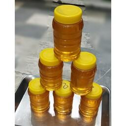 عسل طبیعی مرکبات (مستقیم از زنبوردار)ده تا یک کیلویی- کد 90