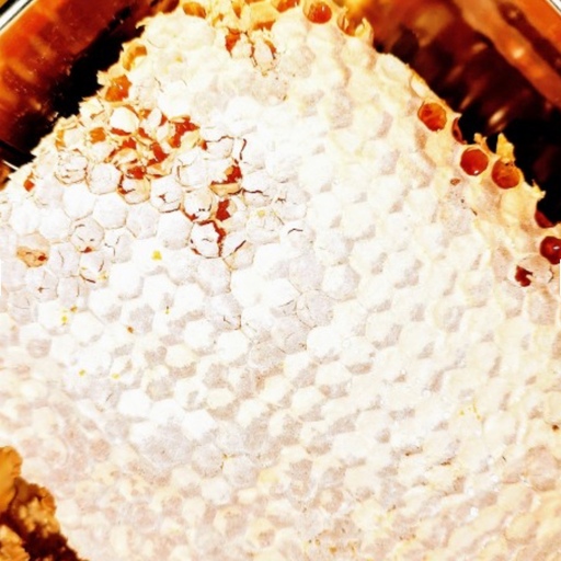 عسل باموم طبیعی بهاره سراب 1کیلویی(مستقیم از زنبوردار)ارسال رایگان