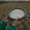 برنج ایرانی کندوج