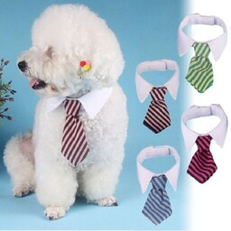 پاپیون و کراوات یقه دار  سگ و گربه ، پشت چسبی