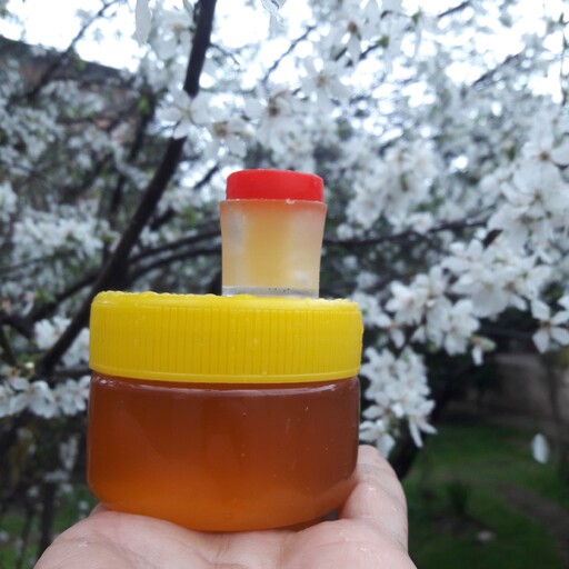 10 گرم خالص ...  ژل رویال اصیل ایرانی... تازه برداشت جدید به علاوه 200 گرم عسل درمانی