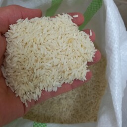 برنج هاشمی درجه یک محلی