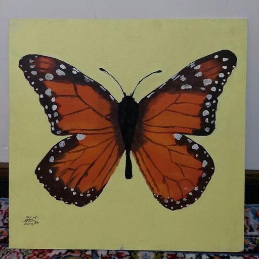 تابلو نقاشی پروانه -رنگ روغن