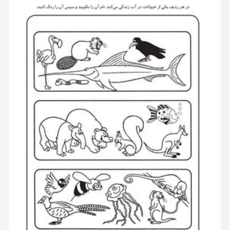 کتاب کار کودک شناخت حیوانات (مجموعه قاصدک دانایی 4)