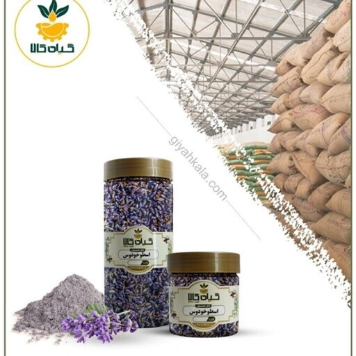 گل اسطوخودوس (هندی) با کیفیت عالی، بار امسالی و تازه(750 گرمی )